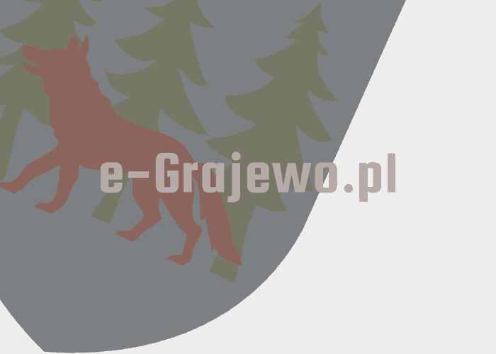Grajewo ogłoszenia: Sprzedam sukienkę raz założona rozmiar 38 pasuje na 36 też...
